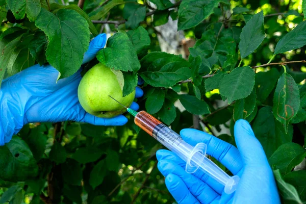 Female Scientist Blue Medical Gloves Holds Syringe Red Chemical Fertilizer — Stock Photo, Image