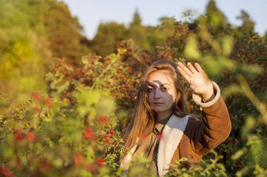 Kırmızı çalıların ve gül üzümlerinin arka planında deri kürklü beyaz bir kızın parlak, ılık sonbahar portresi. Kadın kendini güneşin günbatımından eliyle koruyor..