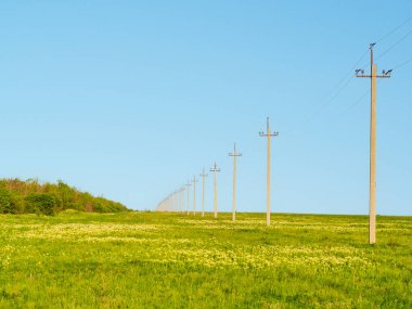 Kırsal kesimde çiçekler ve yeşil çimlerle dolu sonsuz bir tarla. Uzağa doğru uzanan elektrik kabloları olan elektrik hattının kutupları.