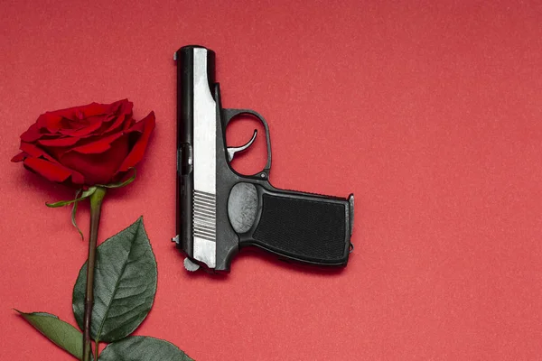 One Red Rose Pink Background Next Black Gangster Gun Concept — Stock Photo, Image