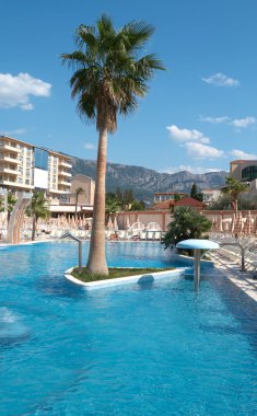 Güzel lüks Yüzme Havuzu, şemsiye 