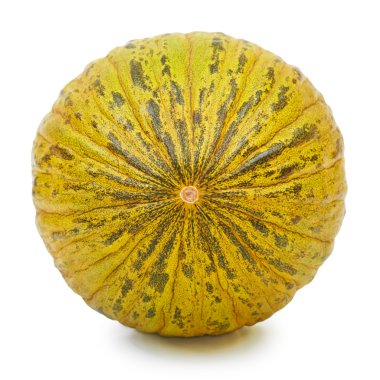 Beyaz arka plan üzerinde çocuklar de Sapo izole olgunlaşmış kavun.