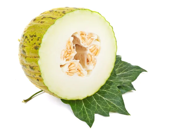 Ripe melon Pela de Sapo with green leaves  isolated on white bac — Stock Photo, Image