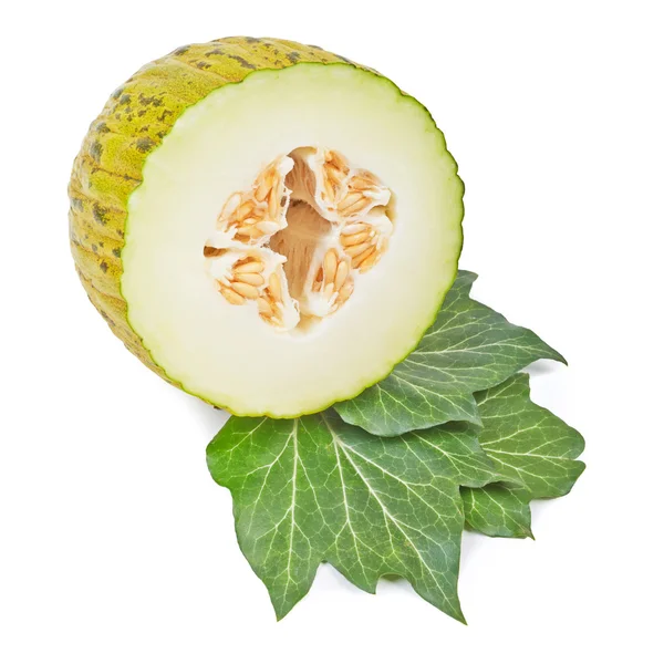 Ripe melon Pela de Sapo with green leaves  isolated on white bac — Stock Photo, Image