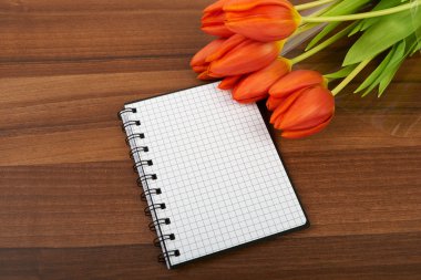 Tablonun arka plan üzerinde kırmızı lale çiçek