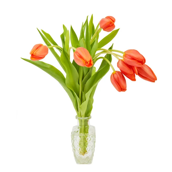 Tulipanes rojos en un decantador de cristal. Aislado sobre blanco — Foto de Stock