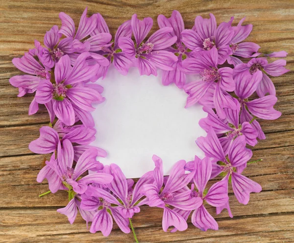 Flowers and a white blank sheet of paper — Stok fotoğraf