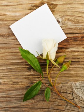White roses and empty paper