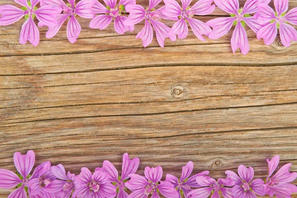 Virágok a fából készült háttér — Stock Fotó