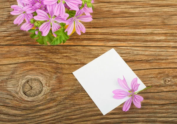 Fiori e un foglio bianco bianco — Foto Stock