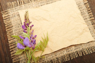 Wisteria çiçekler
