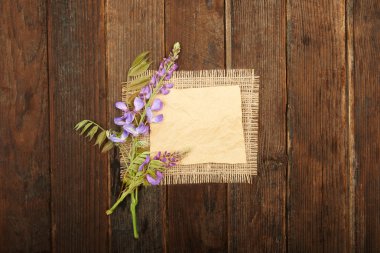 Wisteria çiçekler