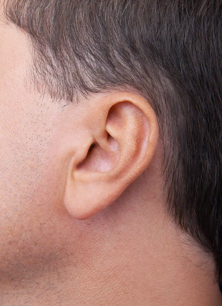 Close-up van een perfecte menselijke oor — Stockfoto