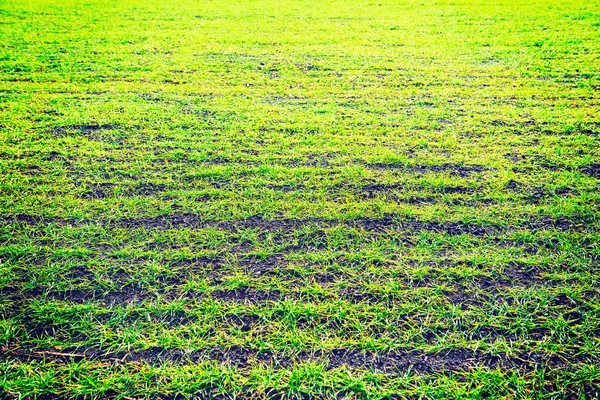 Sztuczna trawa zieleni ziemi tło — Zdjęcie stockowe