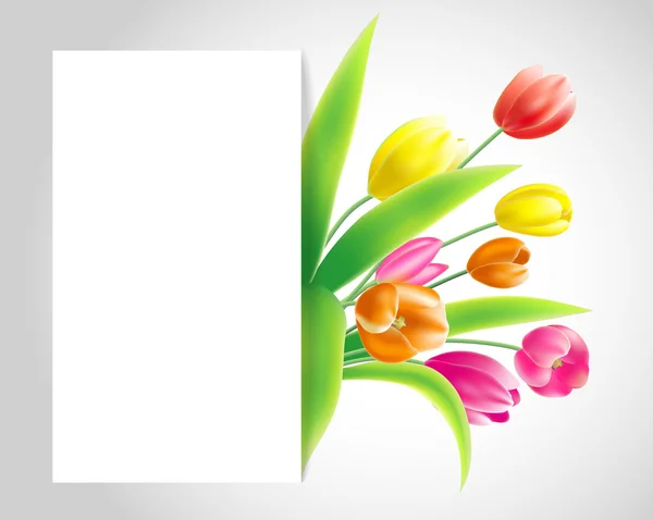 Banner de primavera con ramo de tulipanes en color rojo, amarillo, rosa — Vector de stock
