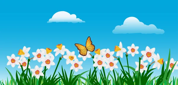 Estandarte con mariposa, nubes, flores narcisas y hojas en — Vector de stock