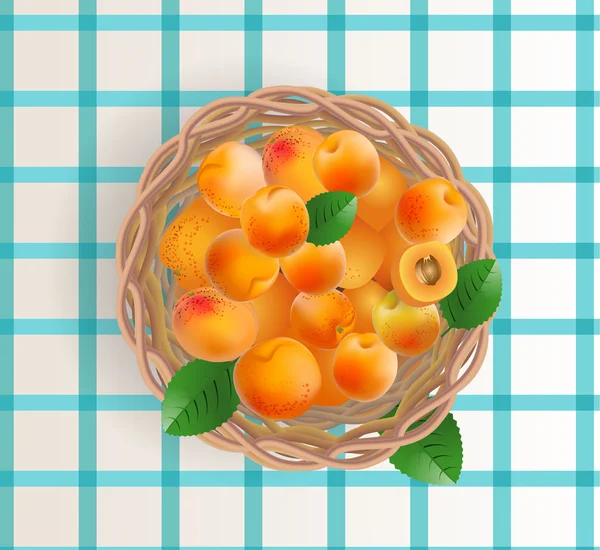 Basket apricot fruits on a checkered tablecloth blue — Stock Vector