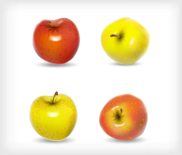 Establecer imágenes realistas una fruta de manzana en color rojo y amarillo en l — Archivo Imágenes Vectoriales