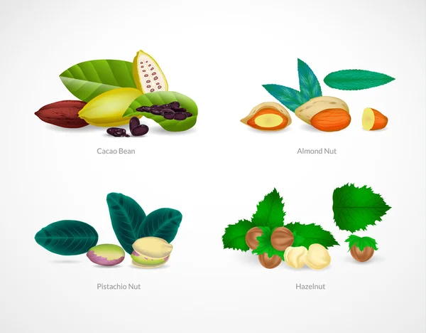 Nahrungsmittel mit Pistazienkernen, Mandelnüssen, Haselnüssen, Kakaobohnen — Stockvektor