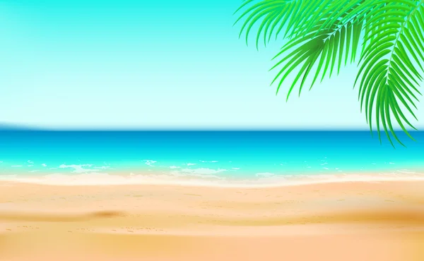 Una playa de arena de verano fondo marino con palmera — Vector de stock