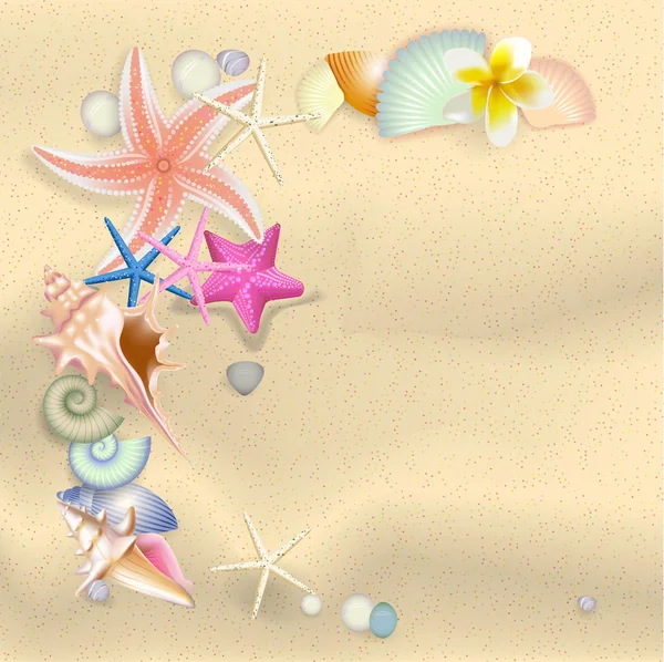 Summer relax background the starfish, shells, little stones on — Stock Vector