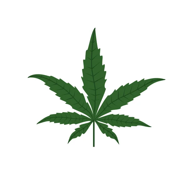 Grafische Vorlage Für Medizinisches Marihuana Produkt Etikett Und Logo Cannabis — Stockvektor