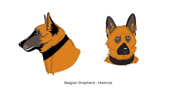 Cão Animal Estilo Dos Desenhos Animados Com Fundo Decorar Ilustração — Vetor de Stock