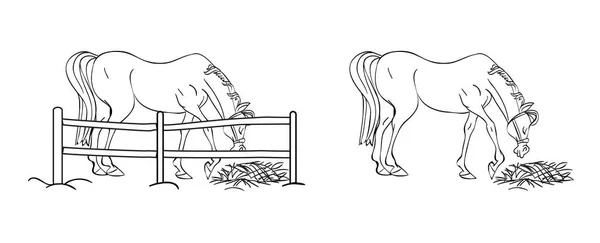 馬の柄のデザイン 漫画のスタイルで女の子ライダーと馬 ベクターイラスト — ストックベクタ