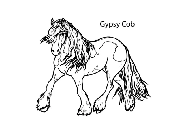 Design Padrão Cavalo Cavalo Com Menina Cavaleiro Estilo Cartoon Ilustração — Vetor de Stock