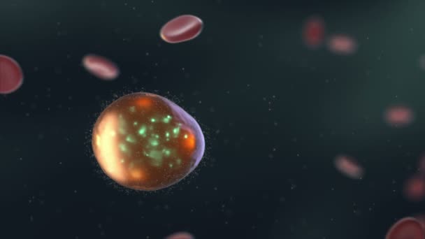 Lus kunnen medische animatie. Molecule van onbekende oorsprong in het menselijk lichaam — Stockvideo