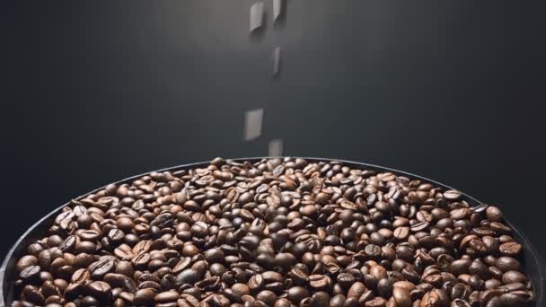 Granos de café cayendo, cámara lenta. — Vídeo de stock
