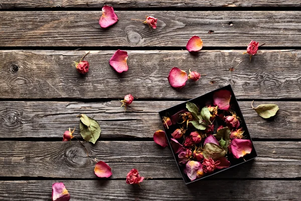 Rose petals inside open gift box. — Stock Photo, Image