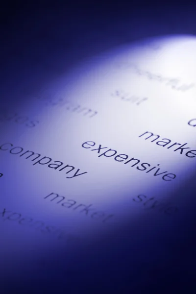 Business-theme words printed on paper — Stock Photo, Image