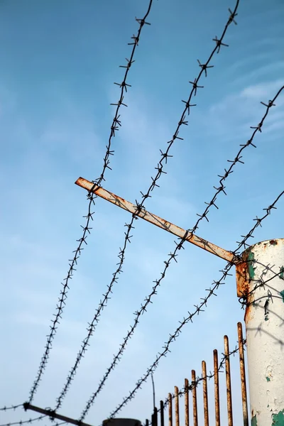 Barbed wire against a blue sky — Stock Photo, Image