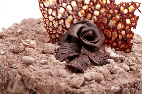 Gâteau aux noisettes au chocolat — Photo