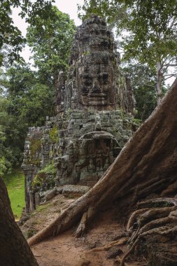 Kamboçya 'da bitki örtüsünün ortasında yüz heykeli.