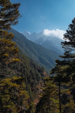 Arkasında karla kaplı dağlar olan bir vadi. Khumbu Vadisi, Nepal