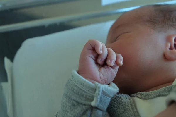 Newborn Baby Its Hospital Crib Detail Focus Baby Hands — Stock Photo, Image