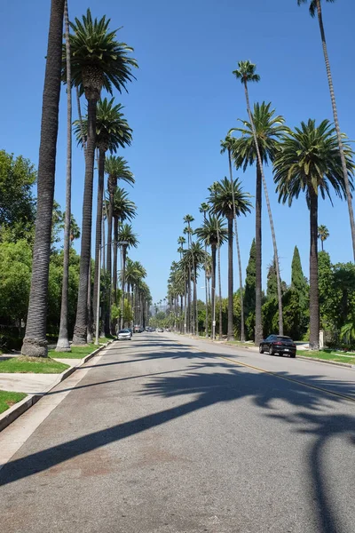 Słynna Ulica Palm Beverly Hills Pomiędzy Bulwarem Santa Monica Alejami — Zdjęcie stockowe