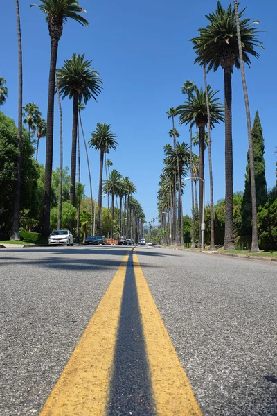 Beverly Hills Teki Ünlü Palm Tree Caddesi Kuzey Santa Monica — Stok fotoğraf