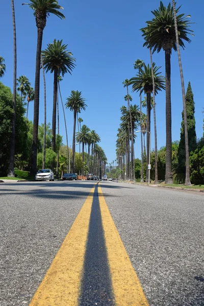 Beverly Hills 'teki ünlü Palm Tree Caddesi, Kuzey Santa Monica Bulvarı ve Sunset Bulvarı, Los Angeles, California arasında.