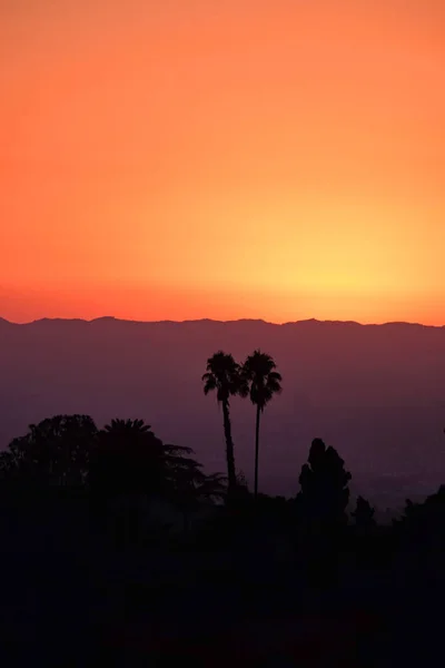 Spektakulärer Sonnenuntergang Los Angeles Mit Palmensilhouetten Kalifornien Vereinigte Staaten — Stockfoto