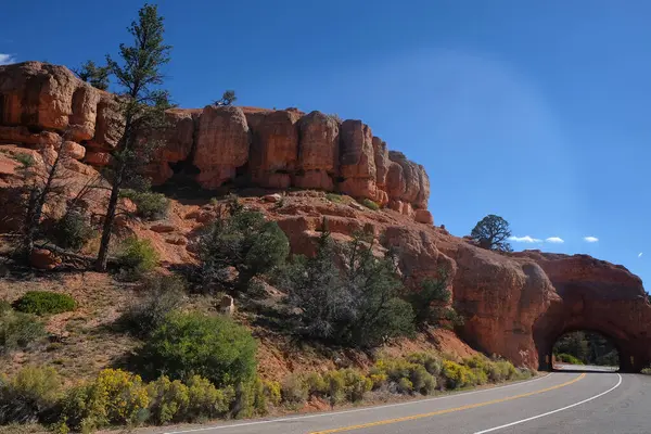 Túnel Arco Rojo Cañón Rojo Camino Parque Nacional Bryce Canyon — Foto de Stock