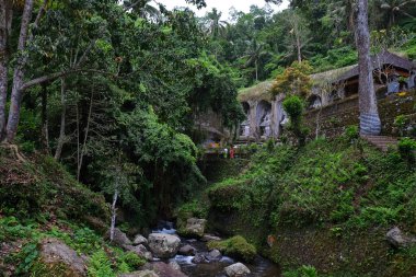 Gunung kawi tapınağı kompleksi tropikal orman ve Pekarisang nehri Bali, Endonezya ile çevrilidir.