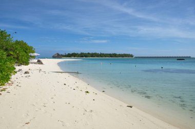 Turkuaz suyu olan cennet plajı ve bitki örtüsü olan beyaz kum, arka planda deniz kenarında kulübeleri olan tropikal bir ada, dinlenmek için bir tatil beldesi. Dhiffushi, Maldivler