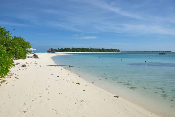 Turkuaz suyu olan cennet plajı ve bitki örtüsü olan beyaz kum, arka planda deniz kenarında kulübeleri olan tropikal bir ada, dinlenmek için bir tatil beldesi. Dhiffushi, Maldivler