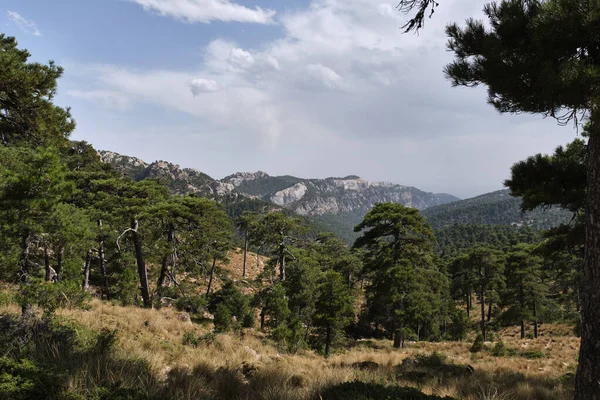 Sierra de Cazorla, Segura ve Las Villas 'taki dağ manzarası. Jaen, Endülüs, İspanya