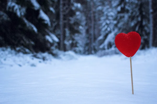 Coeur rouge dans la neige — Photo