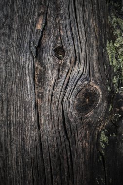 ahşap doku arkaplanı