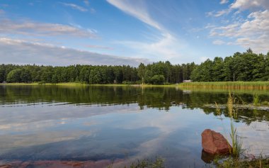 Finlandiya Aland adası defne deniz